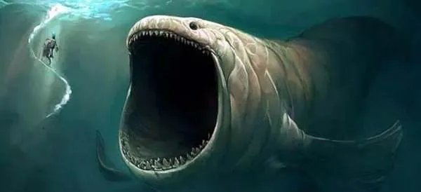 马里亚纳海沟底部是不是也有鱼类在生存？