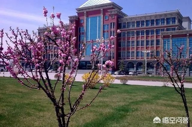 想找一个既有学历，又可以学到技术的学校太难了，求高手指点？