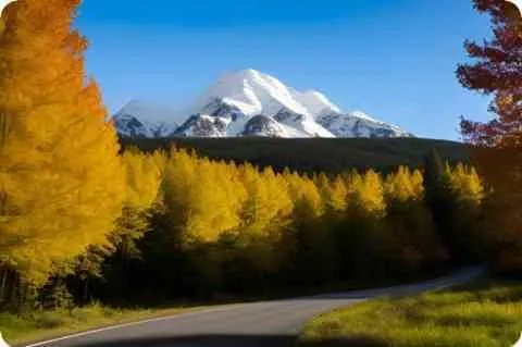 《宫》中信和彩静在皇室宴会上跳的是什么舞？