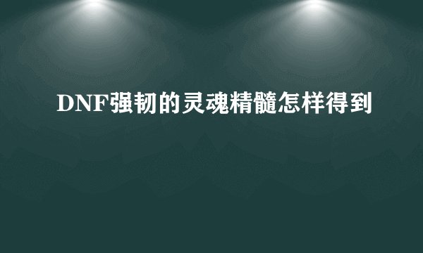 DNF强韧的灵魂精髓怎样得到