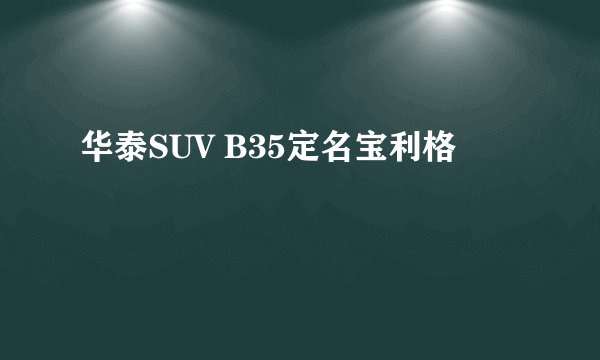 华泰SUV B35定名宝利格