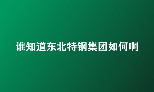 谁知道东北特钢集团如何啊