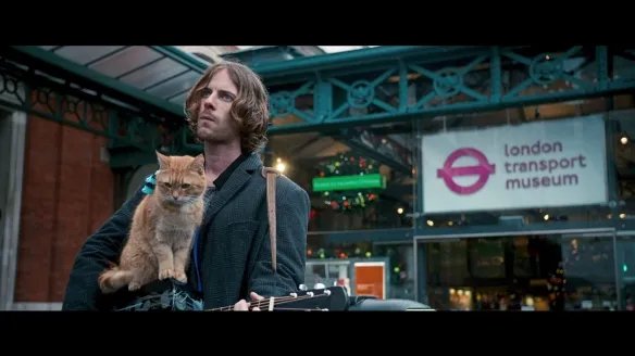 感动无数人的《流浪猫鲍勃》中的原型鲍勃去世！