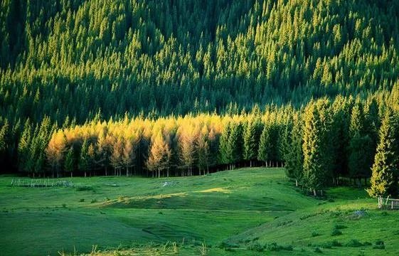 明天就到新疆石河子了，石河子有什么美食和旅游景点推荐？