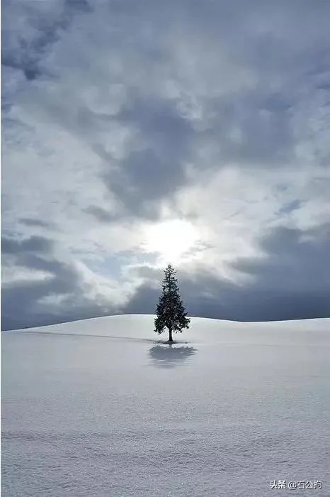明天就到新疆石河子了，石河子有什么美食和旅游景点推荐？