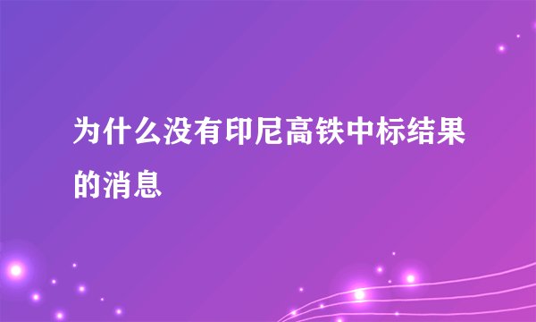 为什么没有印尼高铁中标结果的消息
