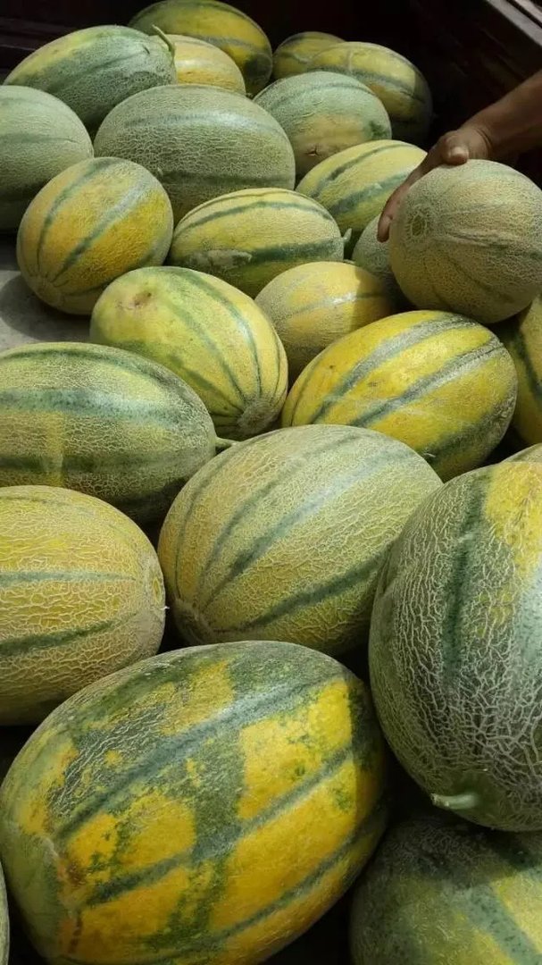 明天就到新疆石河子了，石河子有什么美食和旅游景点推荐？