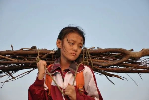 孝女彭金彩分集剧情