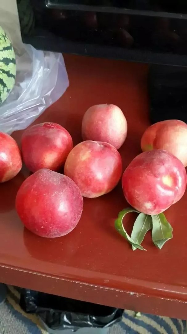 明天就到新疆石河子了，石河子有什么美食和旅游景点推荐？