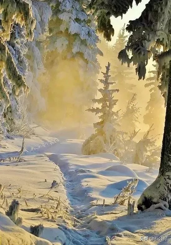 明天就到新疆石河子了，石河子有什么美食和旅游景点推荐？