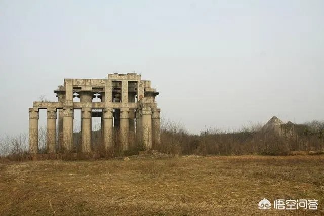 有人说苗木的行情不好，是真的吗？