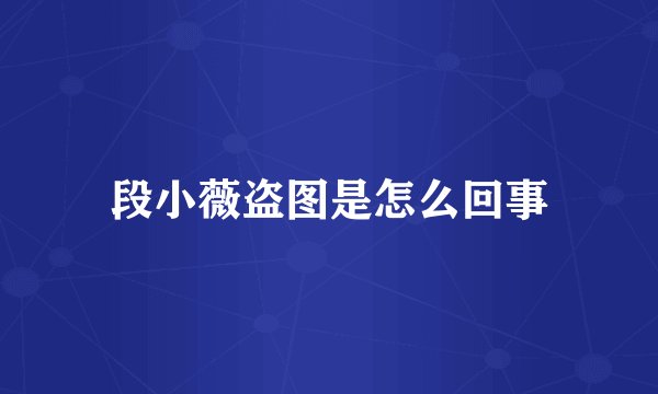 段小薇盗图是怎么回事