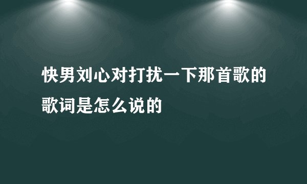 快男刘心对打扰一下那首歌的歌词是怎么说的