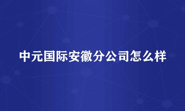 中元国际安徽分公司怎么样