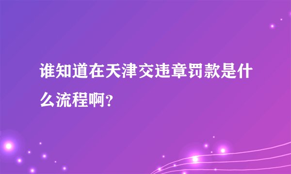 谁知道在天津交违章罚款是什么流程啊？
