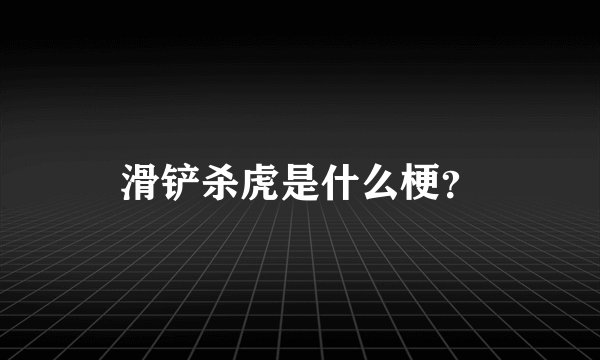 滑铲杀虎是什么梗？