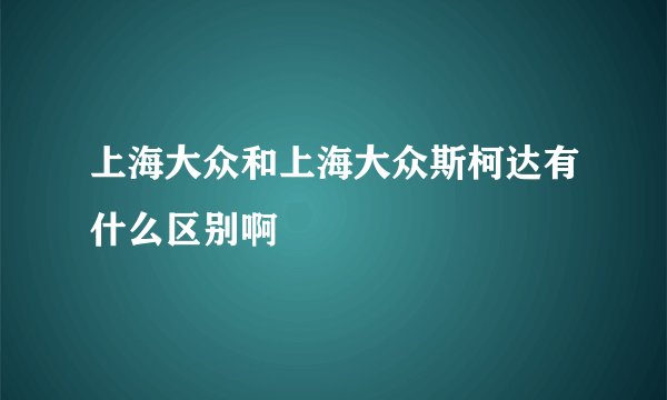 上海大众和上海大众斯柯达有什么区别啊