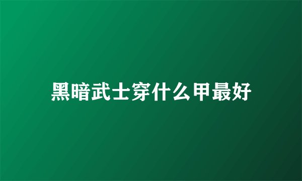 黑暗武士穿什么甲最好