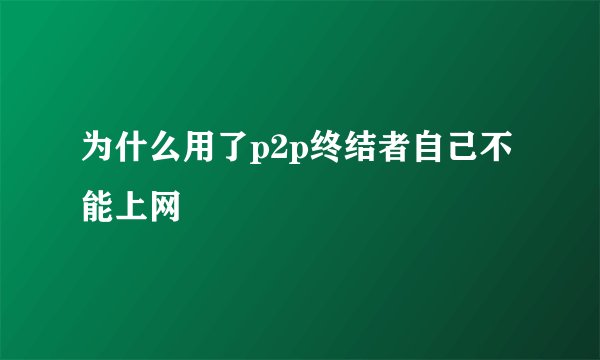 为什么用了p2p终结者自己不能上网