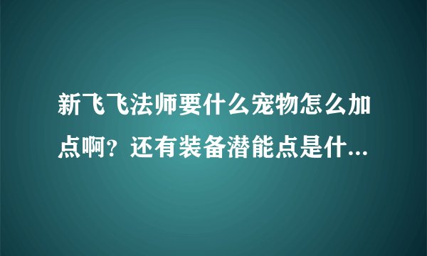 新飞飞法师要什么宠物怎么加点啊？还有装备潜能点是什么意思？