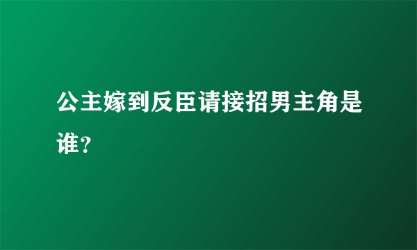 公主嫁到反臣请接招男主角是谁？