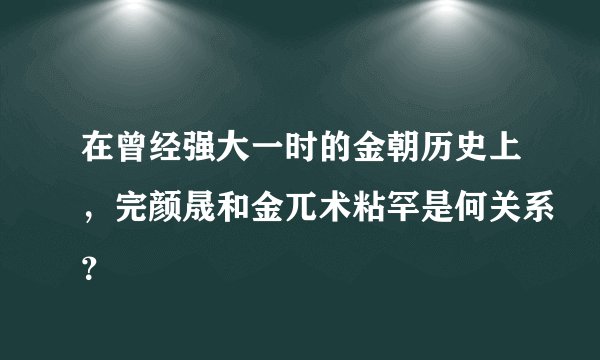 在曾经强大一时的金朝历史上，完颜晟和金兀术粘罕是何关系？