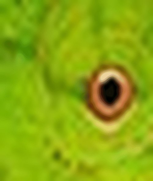 怎么分离图片的背景？