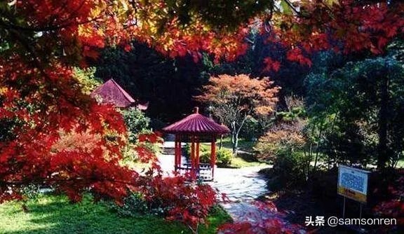 湖南周边省份有什么旅游景点适合暑假去玩吗？不要太远，就在湖南周边就好了？