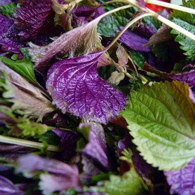 睫毛膏怎么卸？专门眼部卸妆产品