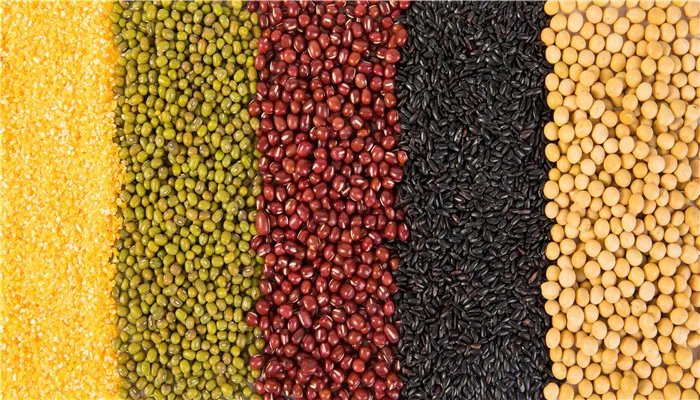 绿色食品指的是什么食品 绿色食品是指哪种食品