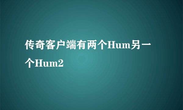 传奇客户端有两个Hum另一个Hum2