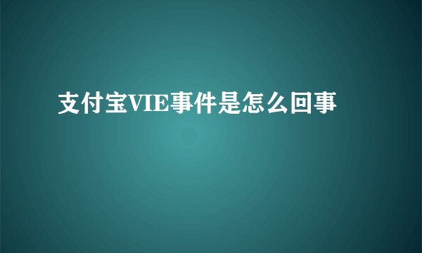 支付宝VIE事件是怎么回事