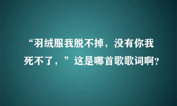 “羽绒服我脱不掉，没有你我死不了，”这是哪首歌歌词啊？