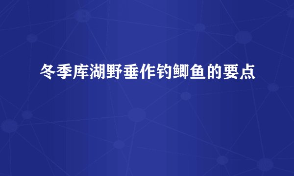 冬季库湖野垂作钓鲫鱼的要点
