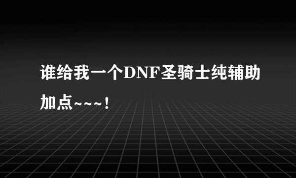 谁给我一个DNF圣骑士纯辅助加点~~~！