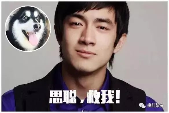 林更新现在为什么那么火？