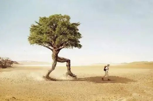 细说种桑误国,典故？