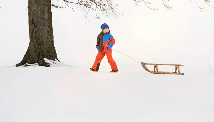 2021年什么时候进九出九 2021年数九第一天是几月几号