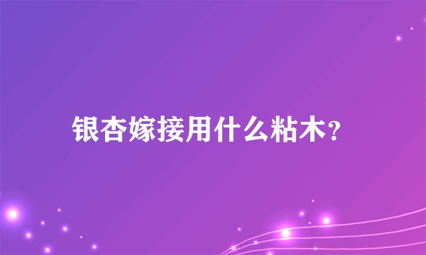 银杏嫁接用什么粘木？