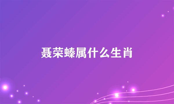 聂荣螓属什么生肖
