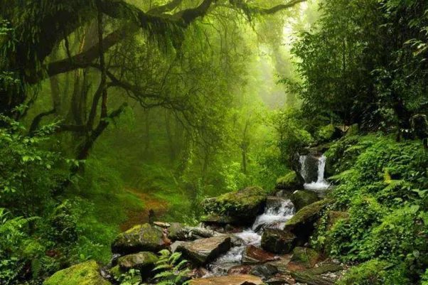 巴西总统不去灭火，却忙着嘲笑马克龙妻子，是真的心大还是不负责任？