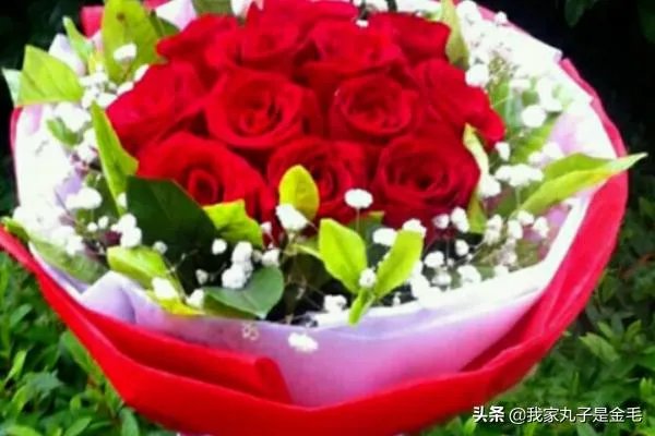 情人节送多少朵玫瑰？