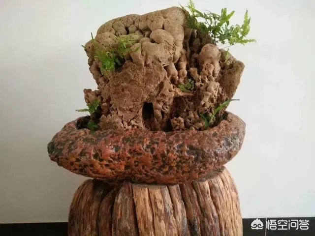 怎么样才能成为头条上的扶贫达人成员？