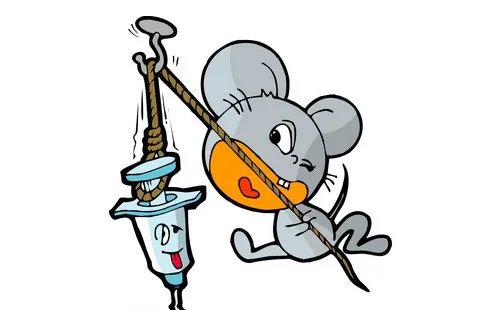 属鼠人的婚姻与属命运  属鼠人与属不同属相的婚姻状况