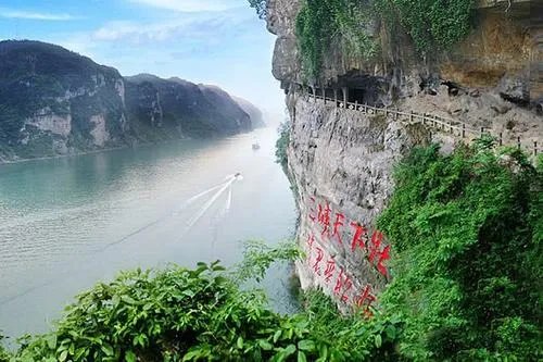 三峡坝区现神秘动物，真的像新闻所说的仅仅是围油栏吗？