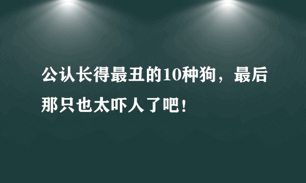 公认长得最丑的10种狗，最后那只也太吓人了吧！