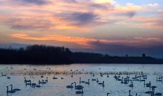 河南出土的青铜壶，壶内的不明液体是什么呢？