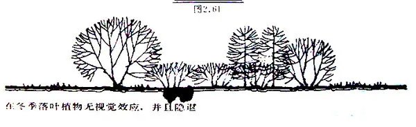 干货 | 庭院植物打造，营造十足空间感