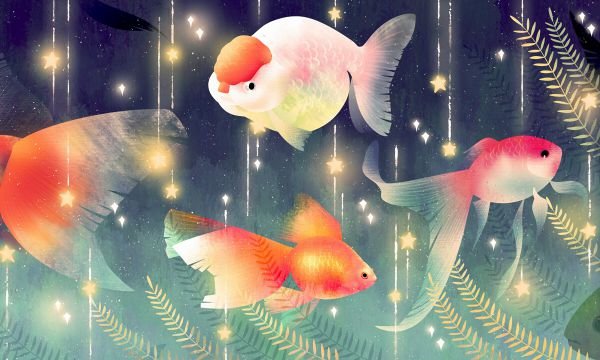 考生位次如何划分 怎么查询位次