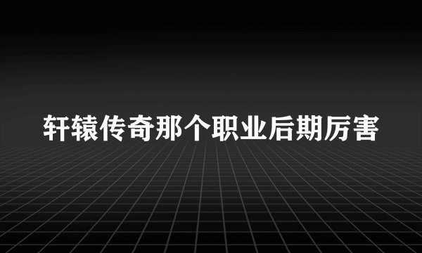 轩辕传奇那个职业后期厉害